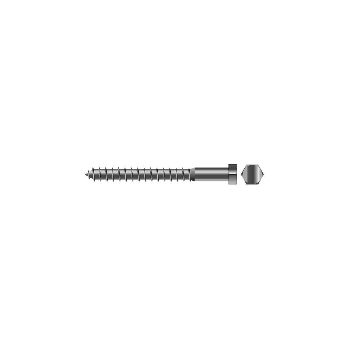 1/2 x 5in 18-8 Stainless Steel Lag Screw, 1/PK