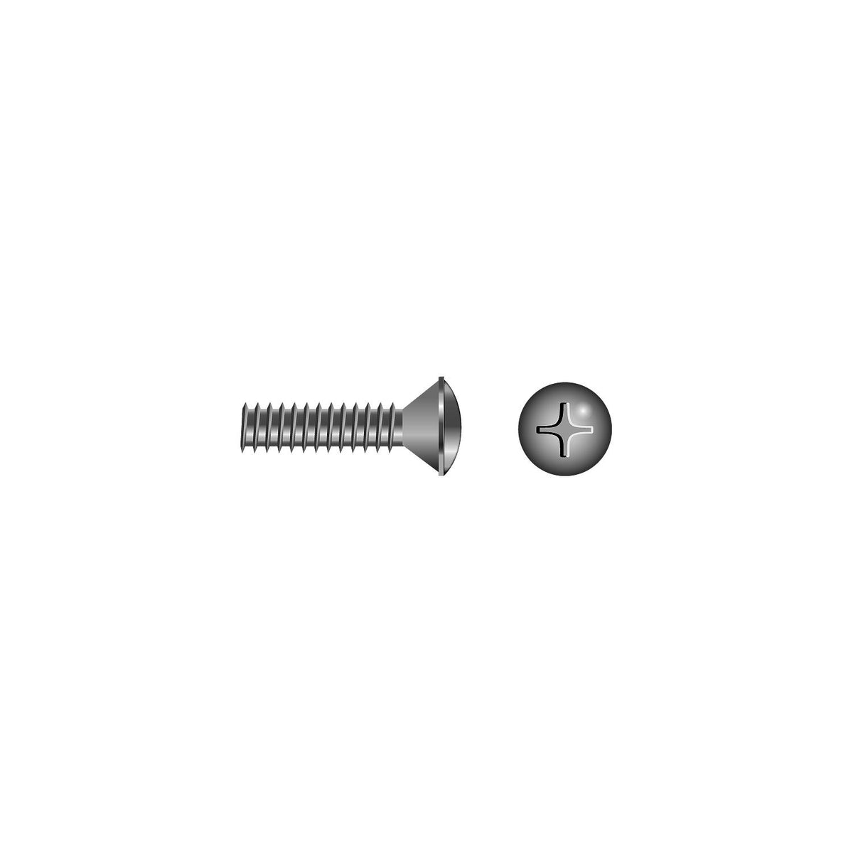 1/4-20 x 5in 18-8 Stainless Steel Phillips Oval Head Machine Screw, 10/PK
