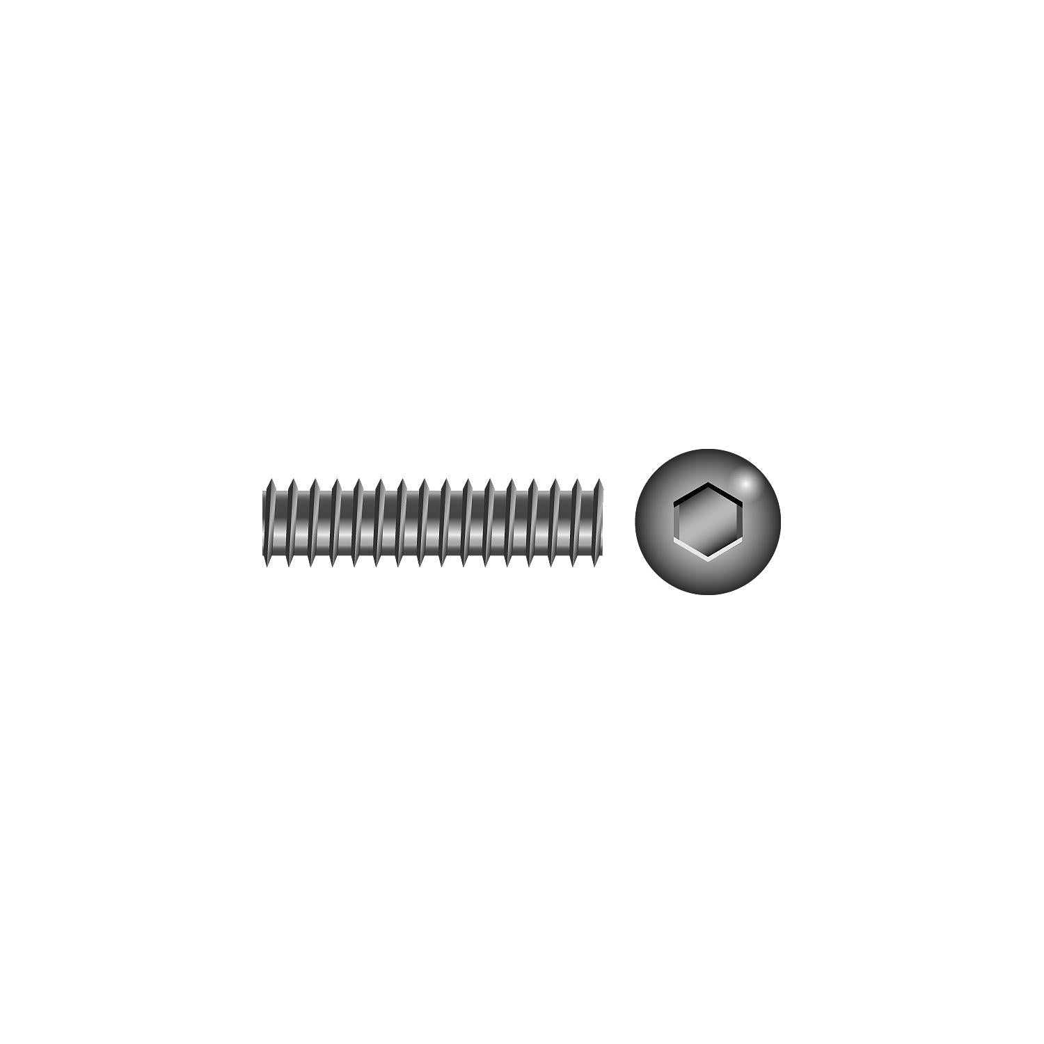 1/4-20 x 1/4in 18-8 Stainless Steel Socket Set Screw, 100/PK