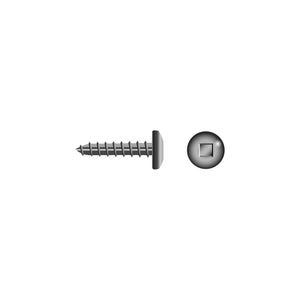 #10 x 1-1/2in 18-8 Stainless Steel Square Pan Head Tapping Screw, 100/PK