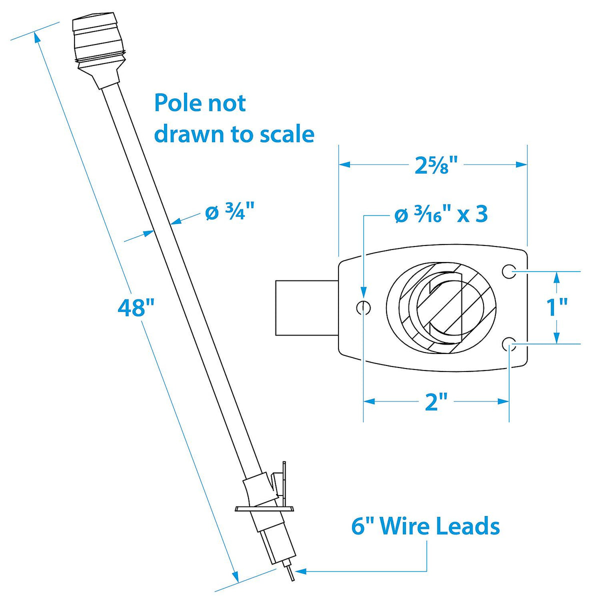 LED All-Round Light, Stainless Steel Tubing, 48in w/ Black Base
