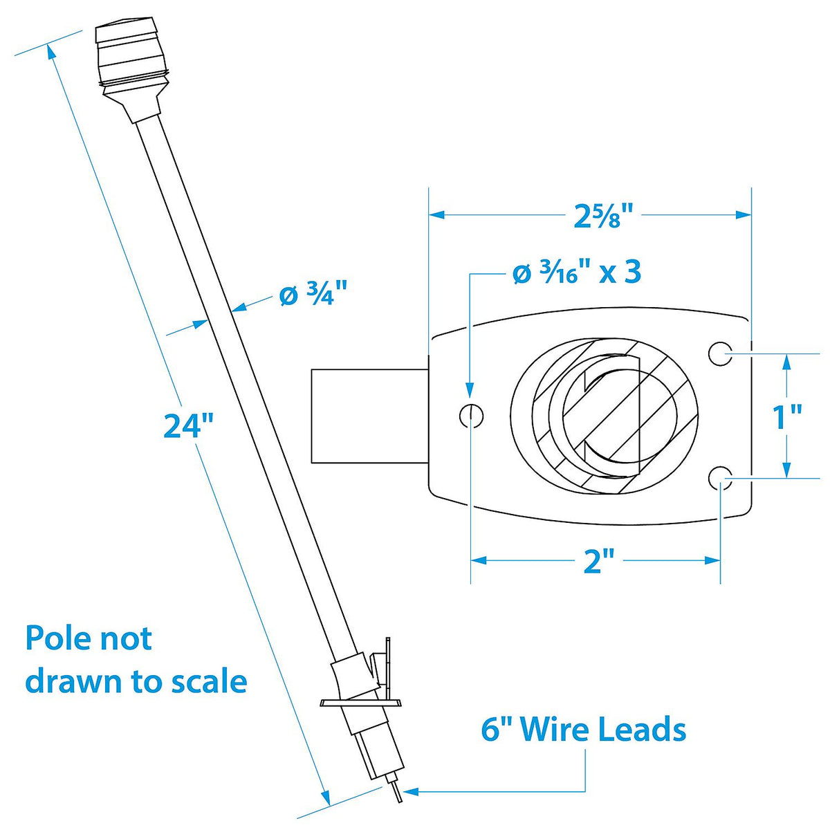LED All-Round Light, Stainless Steel Tubing, 24in w/ Black Base