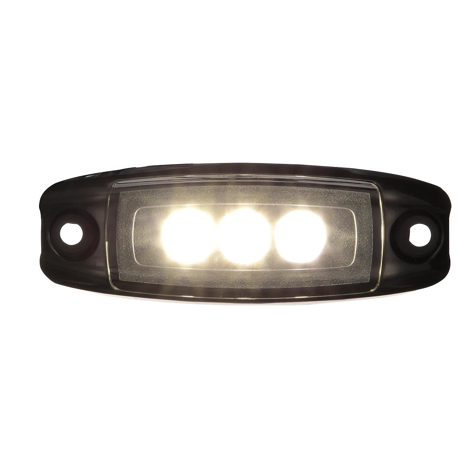 Water Dragon LED Underwater Light, 3 White LEDs, 375 Lumens