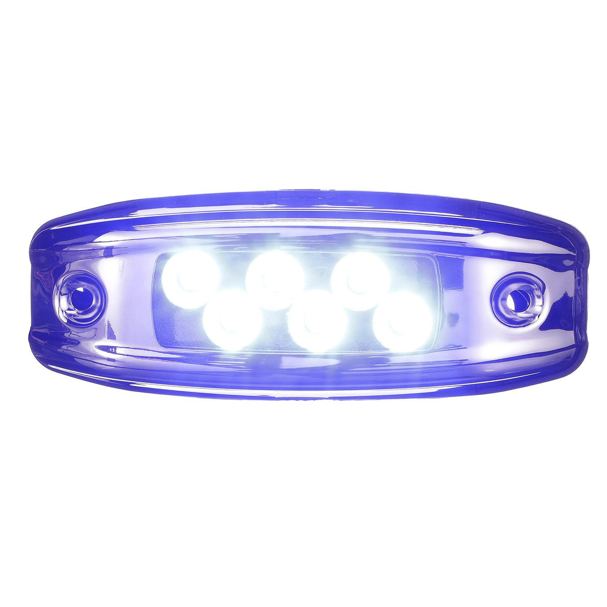 Water Dragon LED Underwater Light, 6 Blue LEDs, 2,700 Lumens