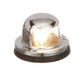 Stern Light, ChromePlated Brass, Clear Lens, Horizontal Mount