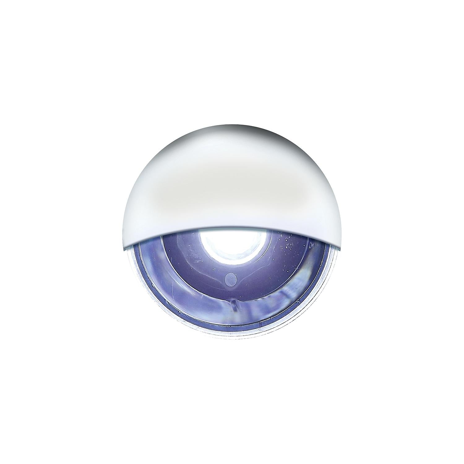 LED Mini Accent/ Livewell Light, Waterproof, White