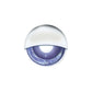 LED Mini Accent/ Livewell Light, Waterproof, White