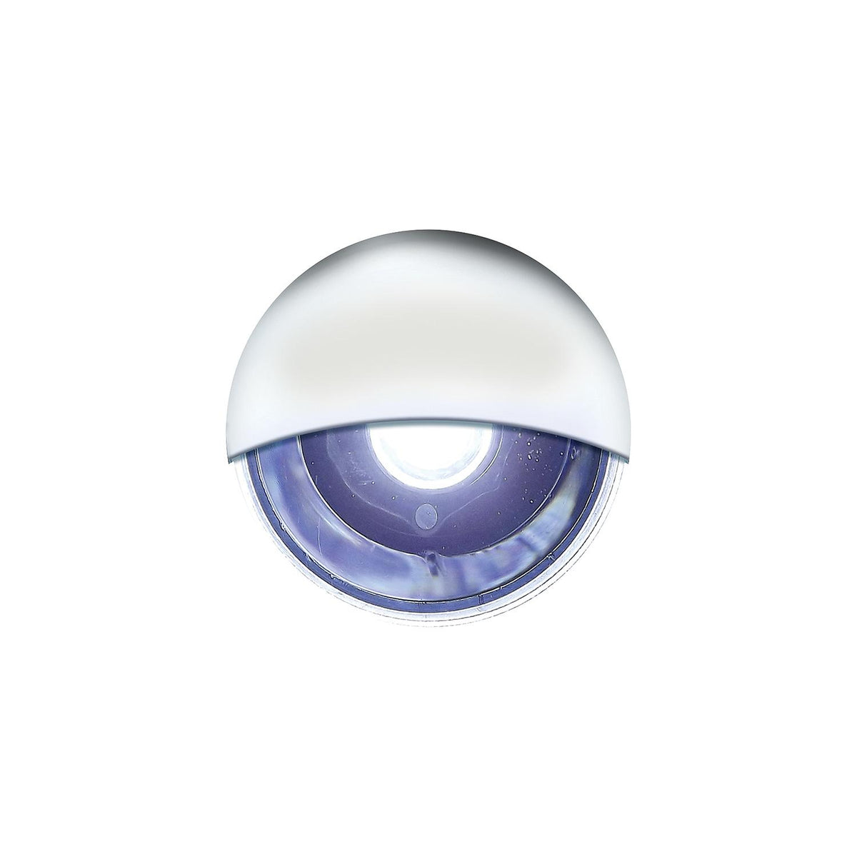 LED Mini Accent/ Livewell Light, Waterproof, White