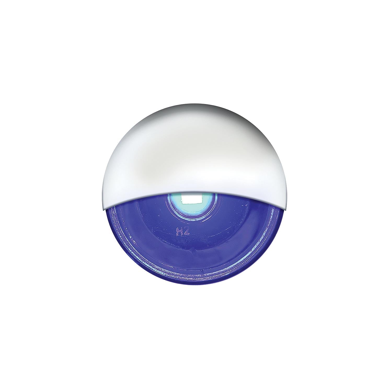 LED Mini Accent/ Livewell Light, Waterproof, Blue