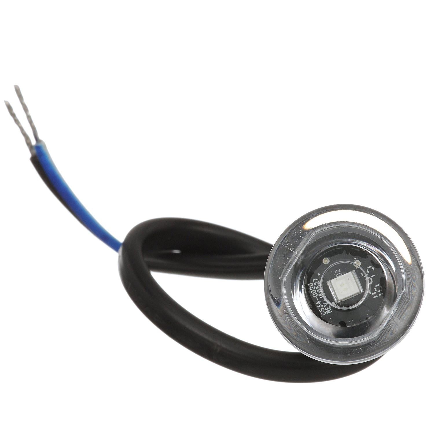 LED Mini Accent/ Livewell Light, Waterproof, Blue