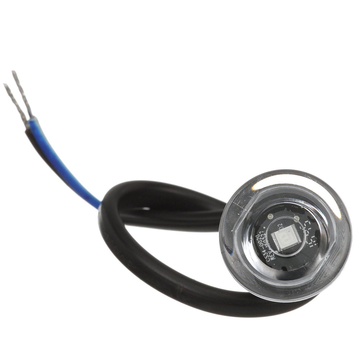 LED Mini Accent/ Livewell Light, Waterproof, Blue