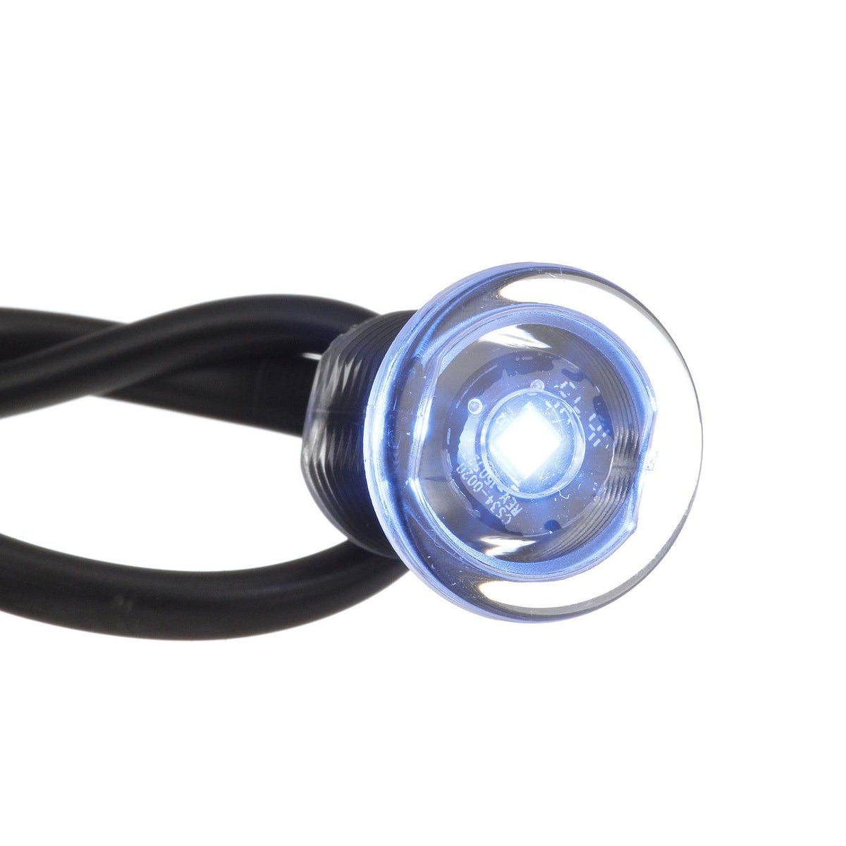 LED Mini Accent/ Livewell Light, Waterproof, Blue