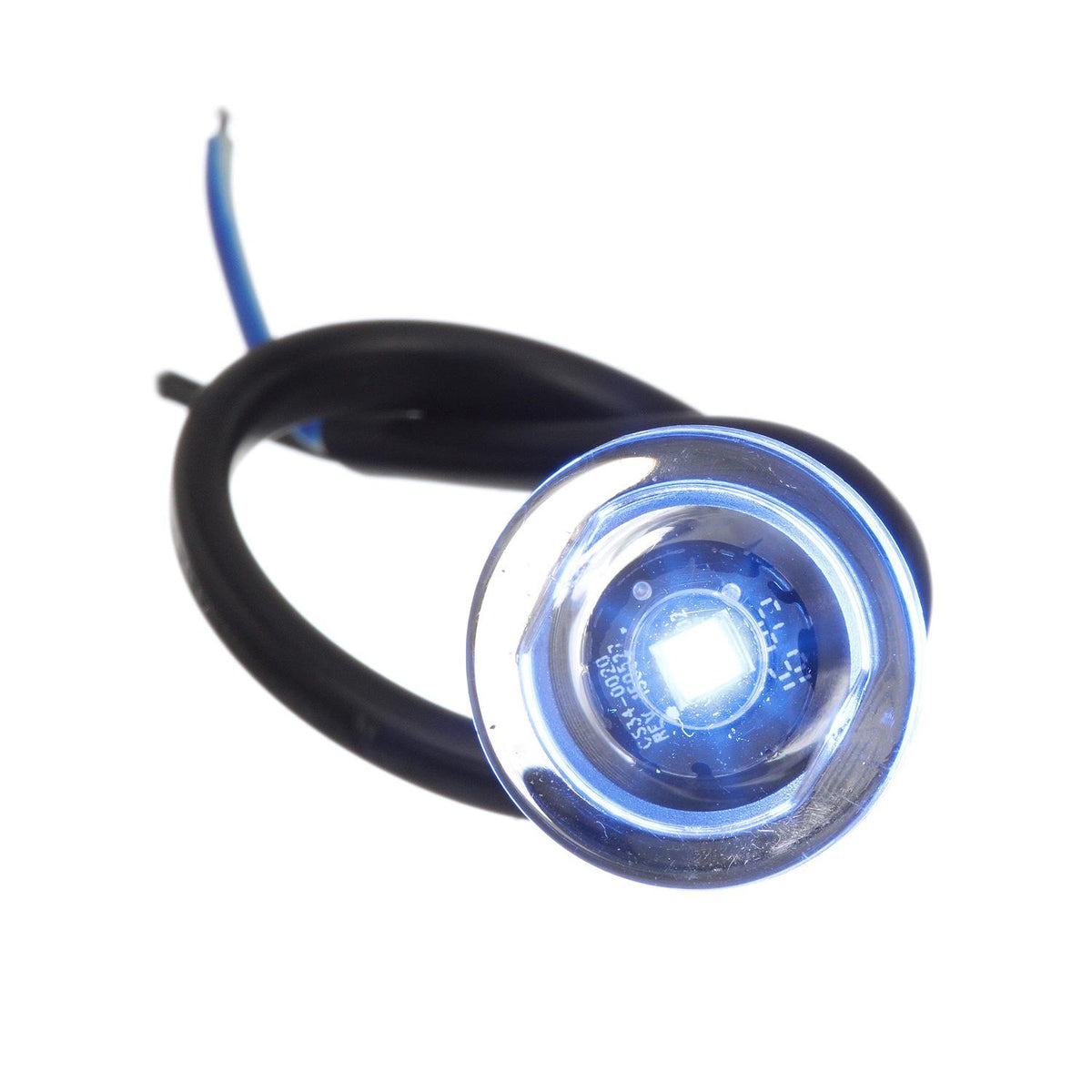 LED Mini Accent/ Livewell Light, Waterproof, Blue