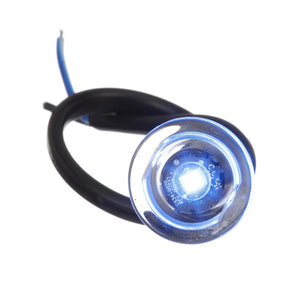 LED Mini Accent/ Livewell Light, Waterproof, Blue