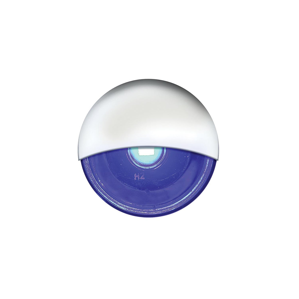 LED Mini Accent/ Livewell Light, Waterproof, Blue