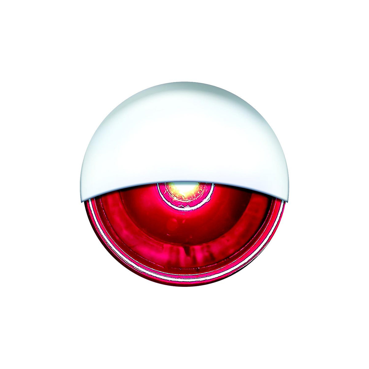 LED Mini Accent/ Livewell Light, Waterproof, Red