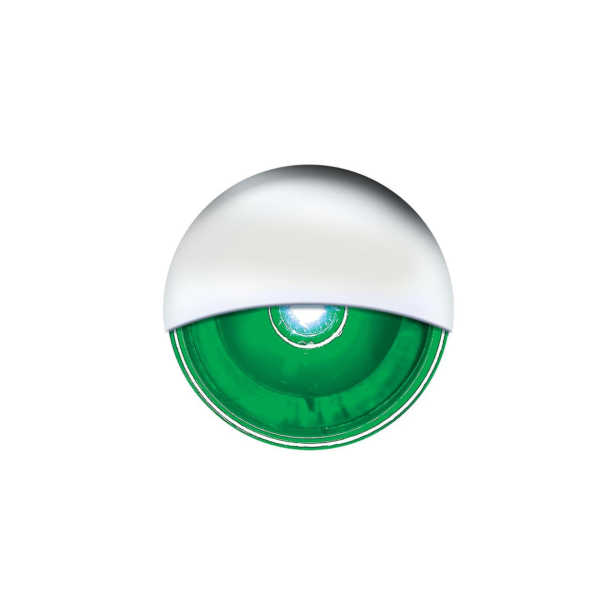 LED Mini Accent/ Livewell Light, Waterproof, Green