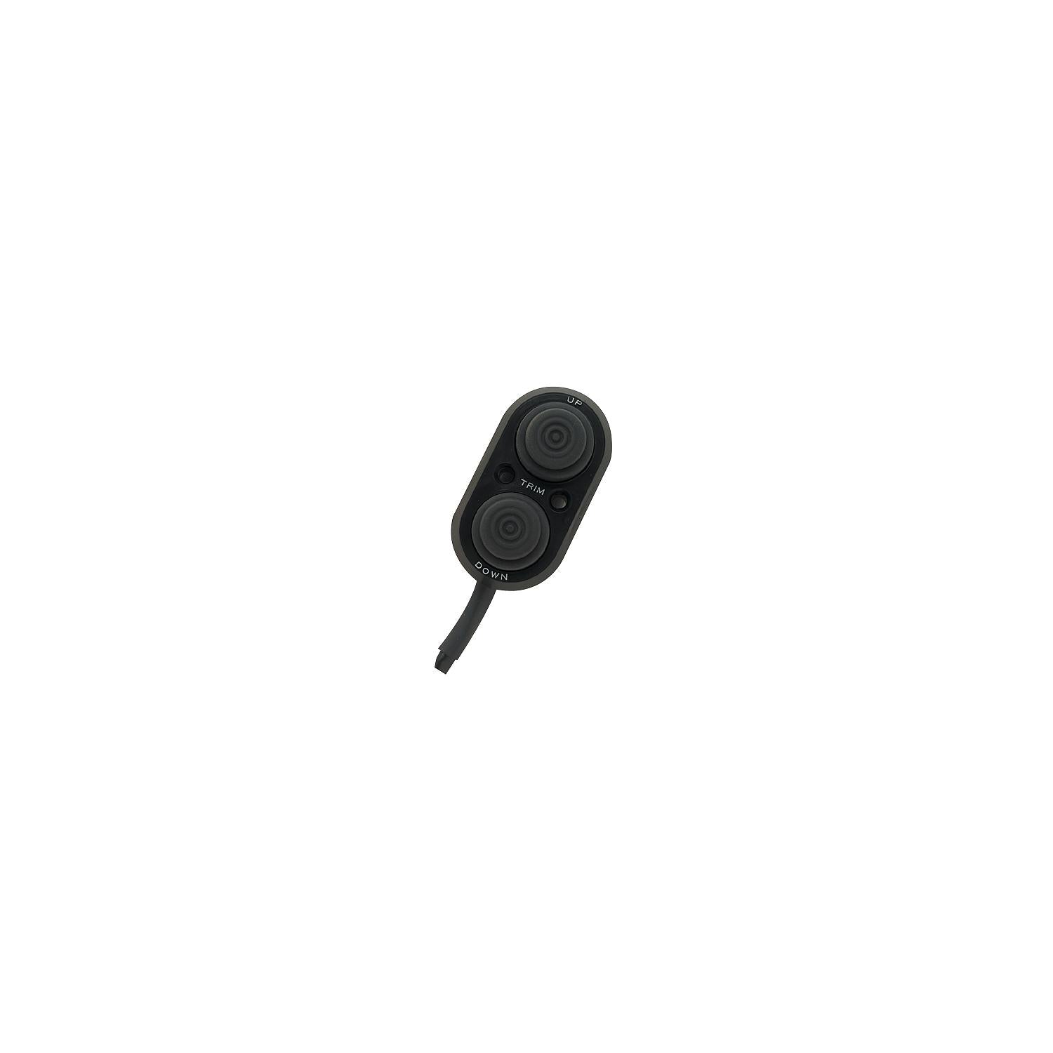 Transom Trim Control