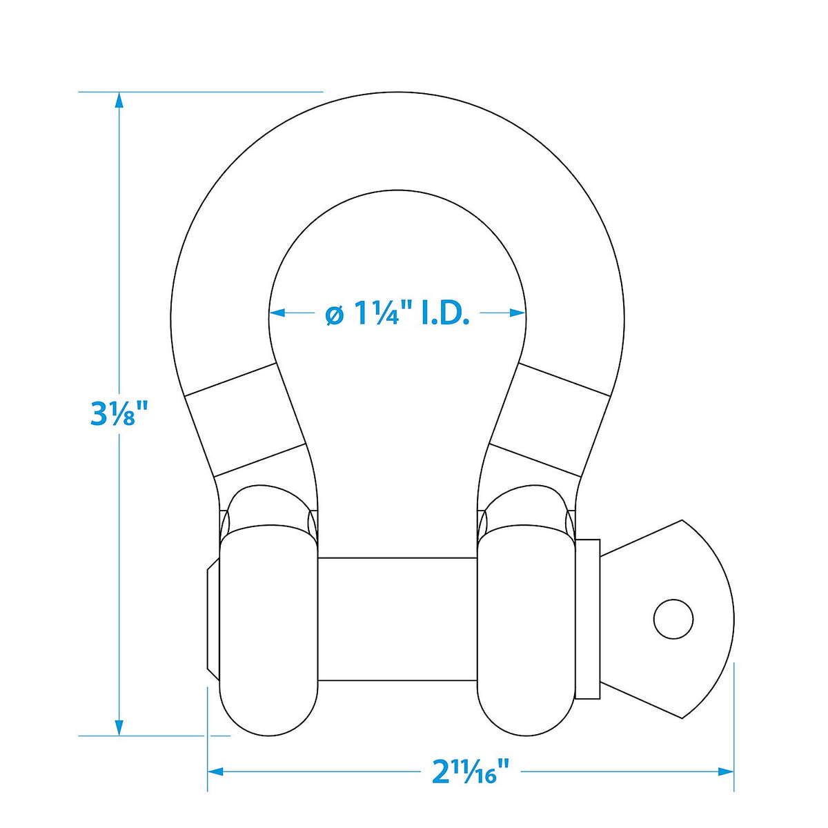 Galvanized Anchor Shackle, 1/2in