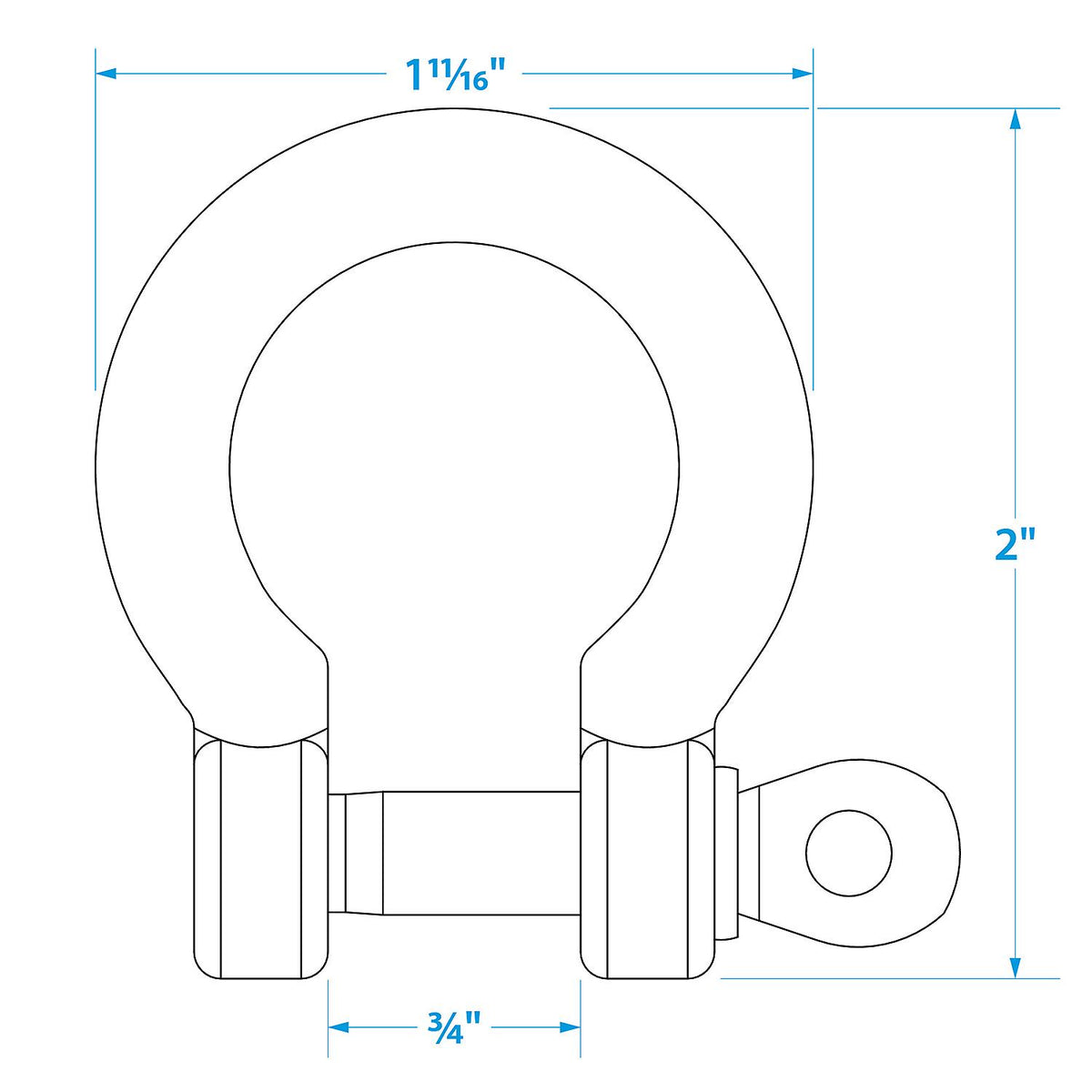 Stainless Steel Anchor Shackle, 5/16in