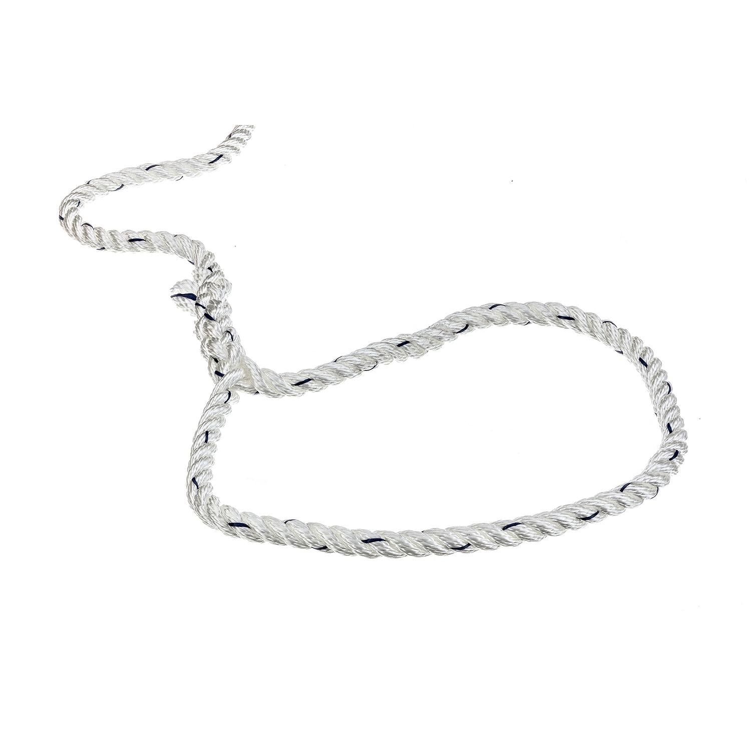 Premium 3-Strand Twisted Nylon Dock Line, White w/ Blue Tracer, 3/8in x 10ft