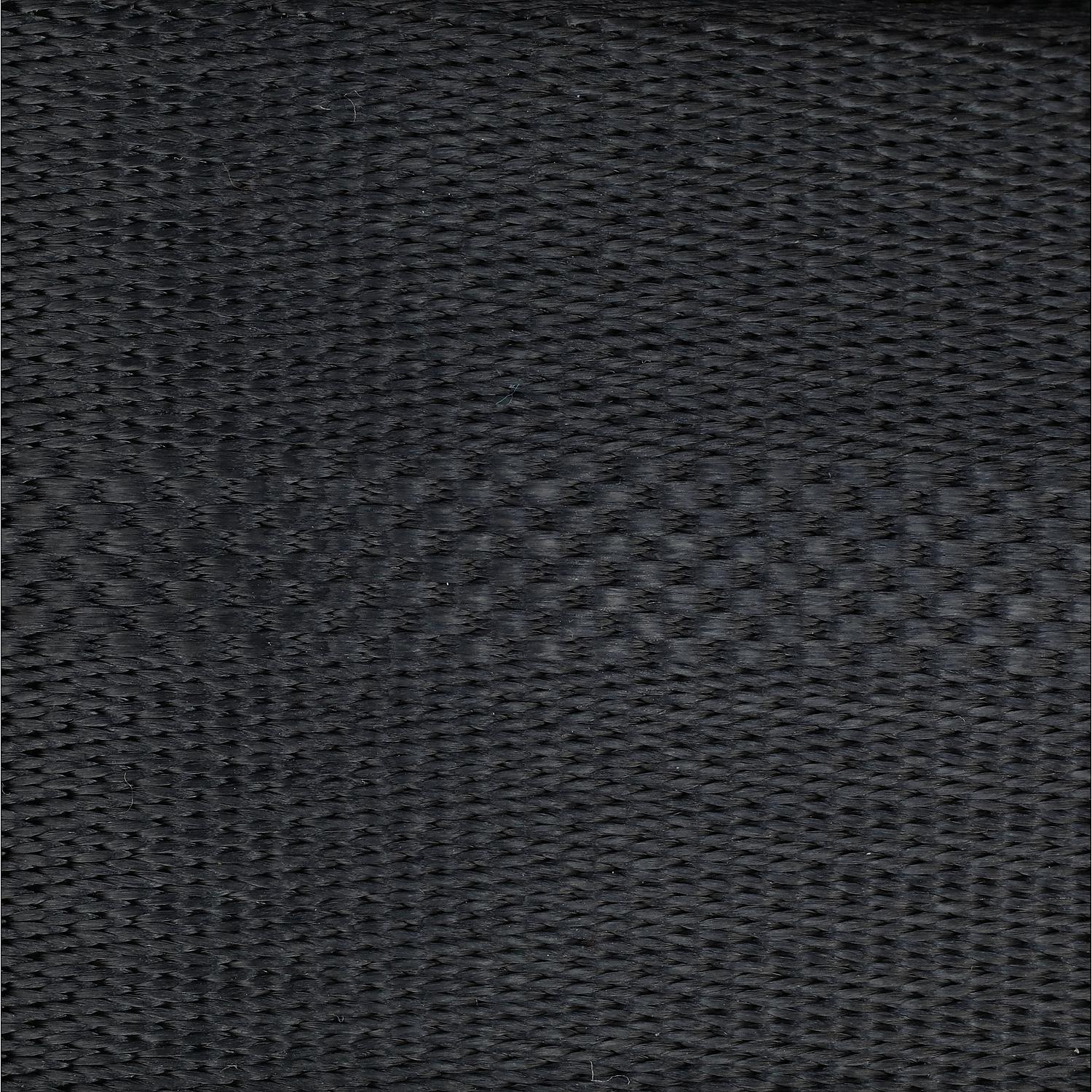 PWC Winch Strap w/ Loop End, 2in x 12ft