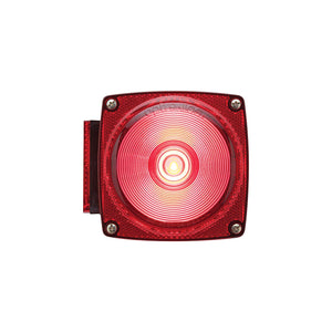 One Combination Tail Light, Driver Side w/ License Plate Illuminator