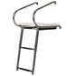 Deluxe 2 Step Universal Swim Platform w/ Slide Mount Telescoping Ladder