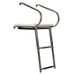Deluxe 2 Step Universal Swim Platform w/ Slide Mount Telescoping Ladder
