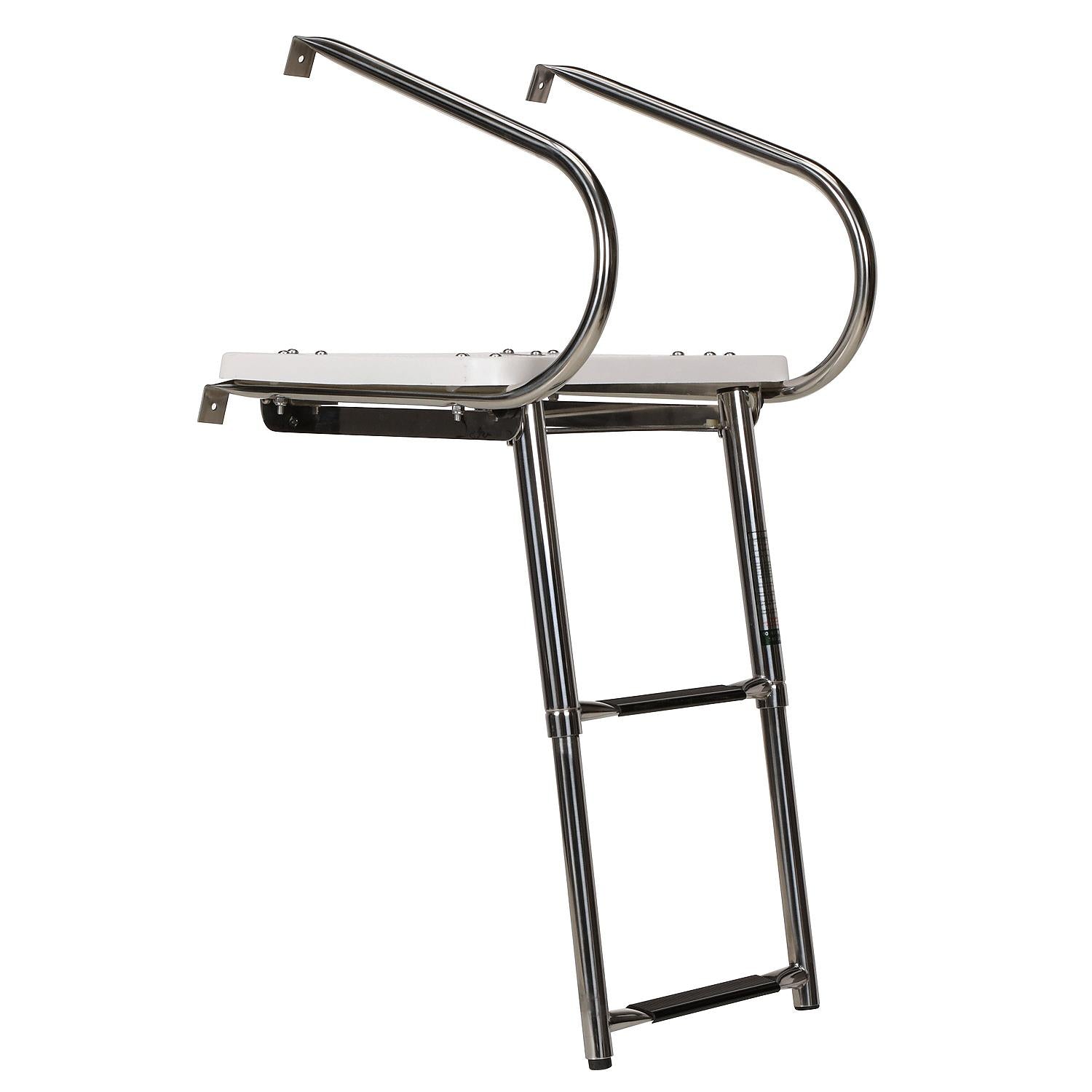 Deluxe 2 Step Universal Swim Platform w/ Slide Mount Telescoping Ladder