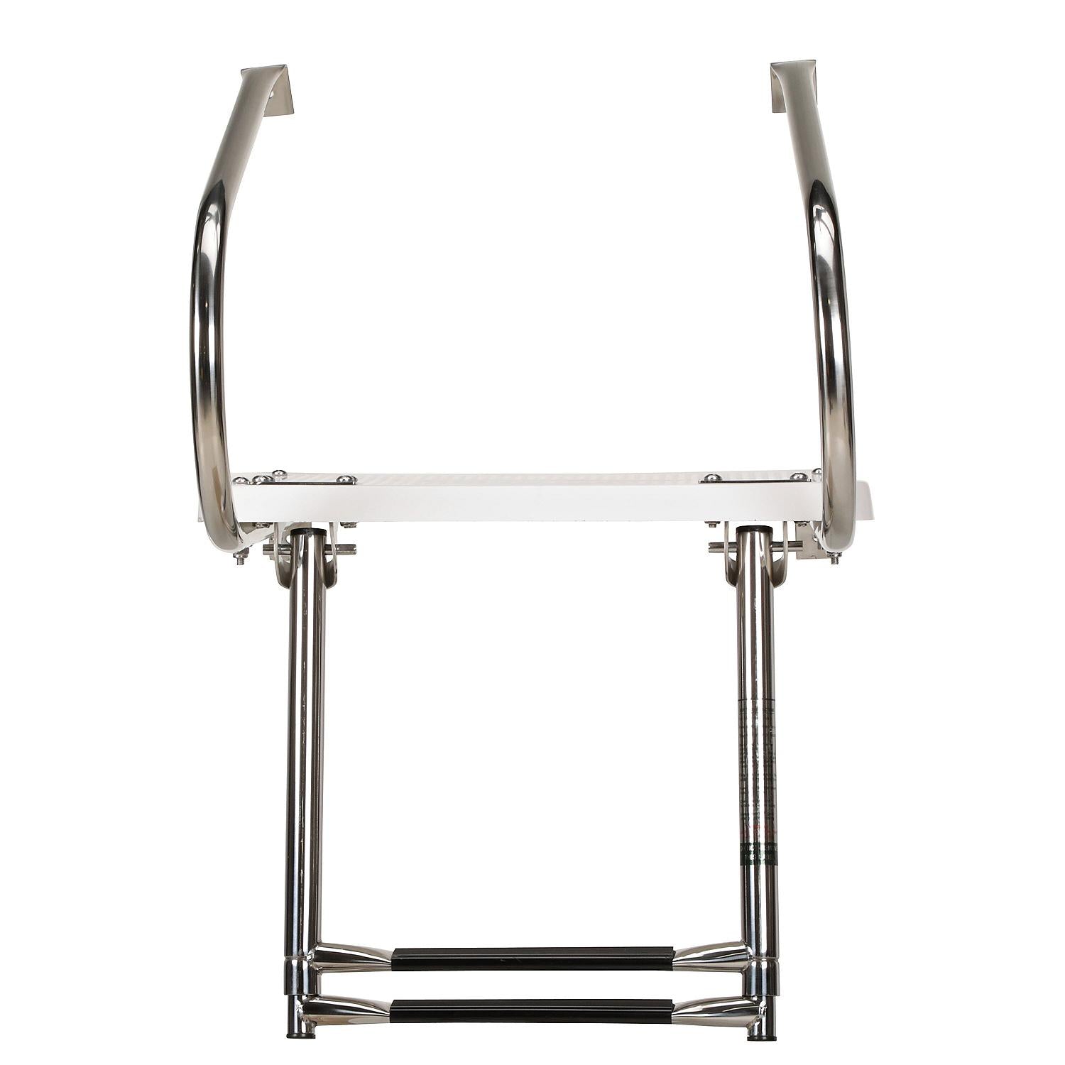Universal 2 Step Swim Platform w/ Under Mount Telescoping Ladder