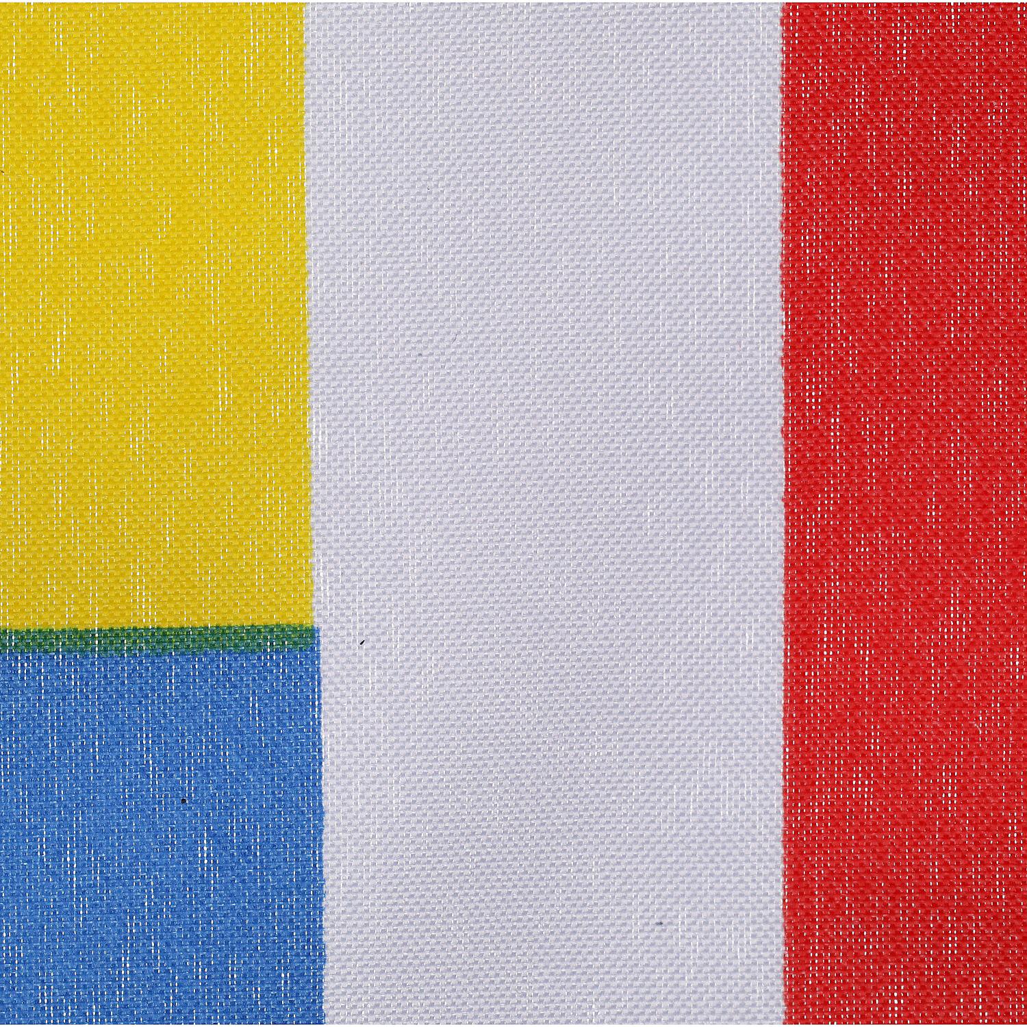 12in x 18in Nylon Print Dyed Bahamas Courtesy Flag