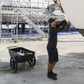Dock Cart, Plastic, 42in x 22in x 10.5in, 350 lb Capacity