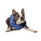 Dog Life Vest - Blue Polka Dot, XS