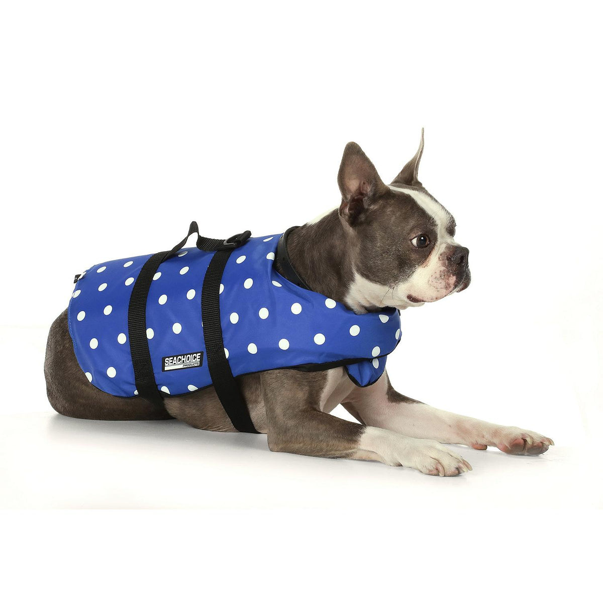Dog Life Vest - Blue Polka Dot, Sm