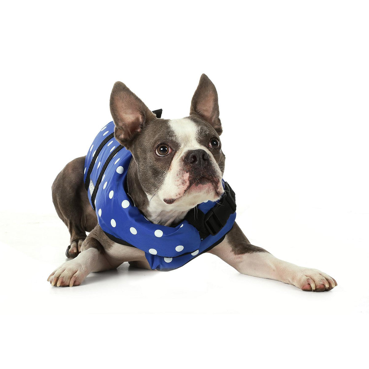 Dog Life Vest - Blue Polka Dot, Sm