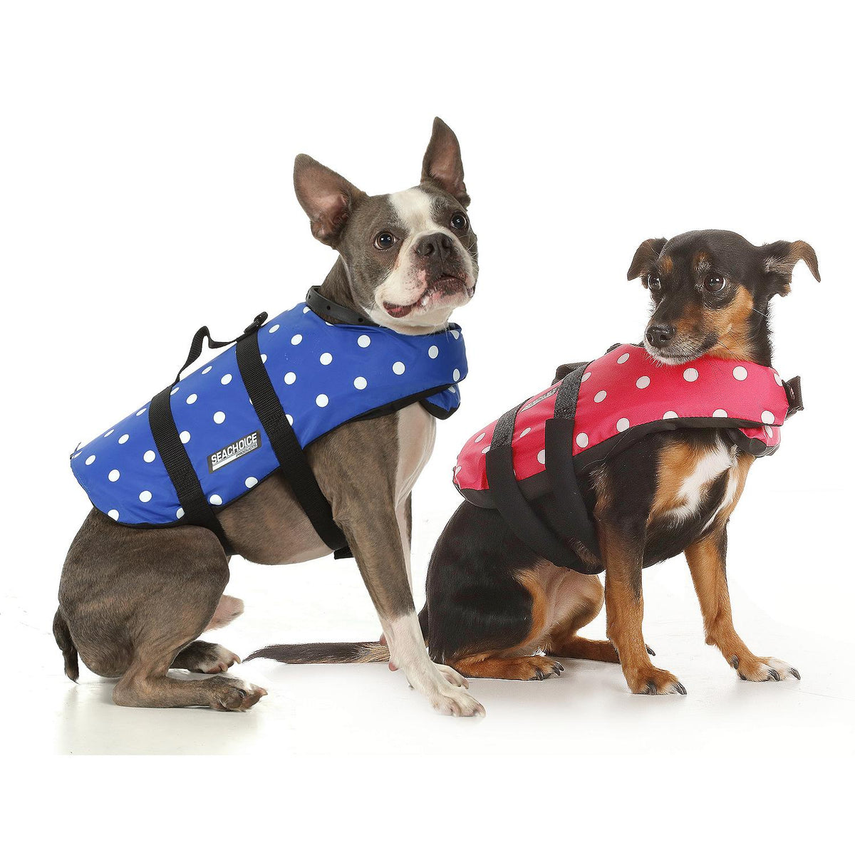 Dog Life Vest - Blue Polka Dot, Sm