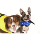 Dog Life Vest - Yellow, Small