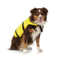 Dog Life Vest - Yellow, Medium