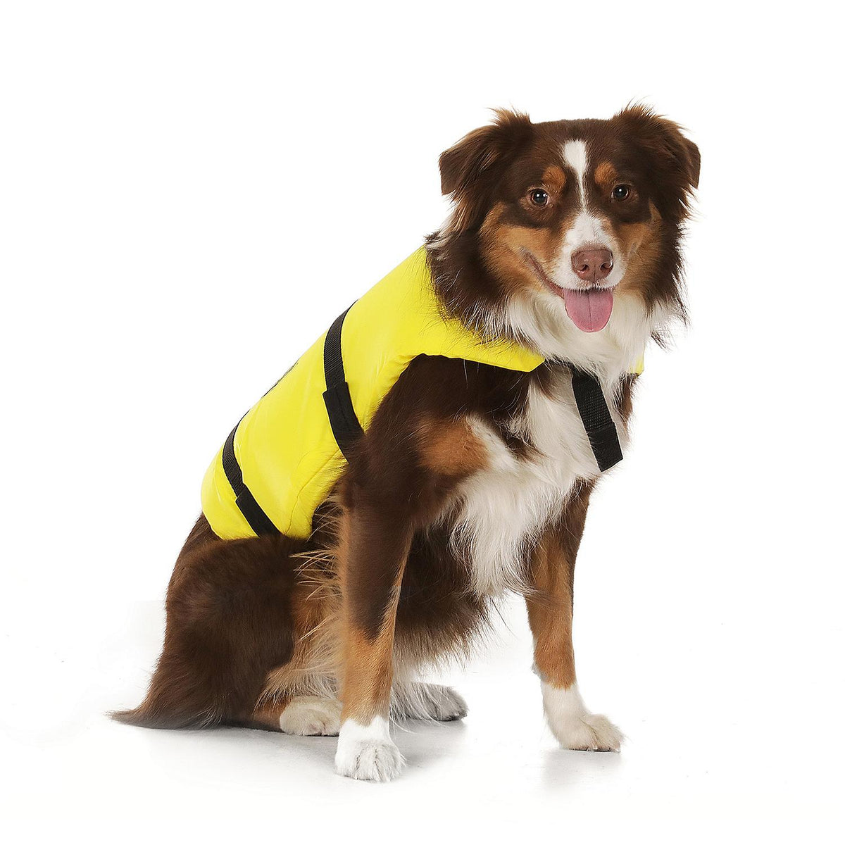 Dog Life Vest - Yellow, Lg