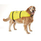 Dog Life Vest - Yellow, XL