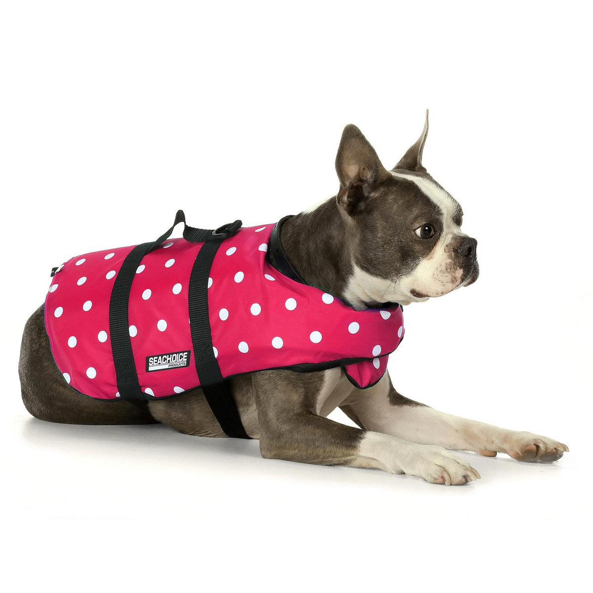 Dog Life Vest - Pink Polka Dot, Sm