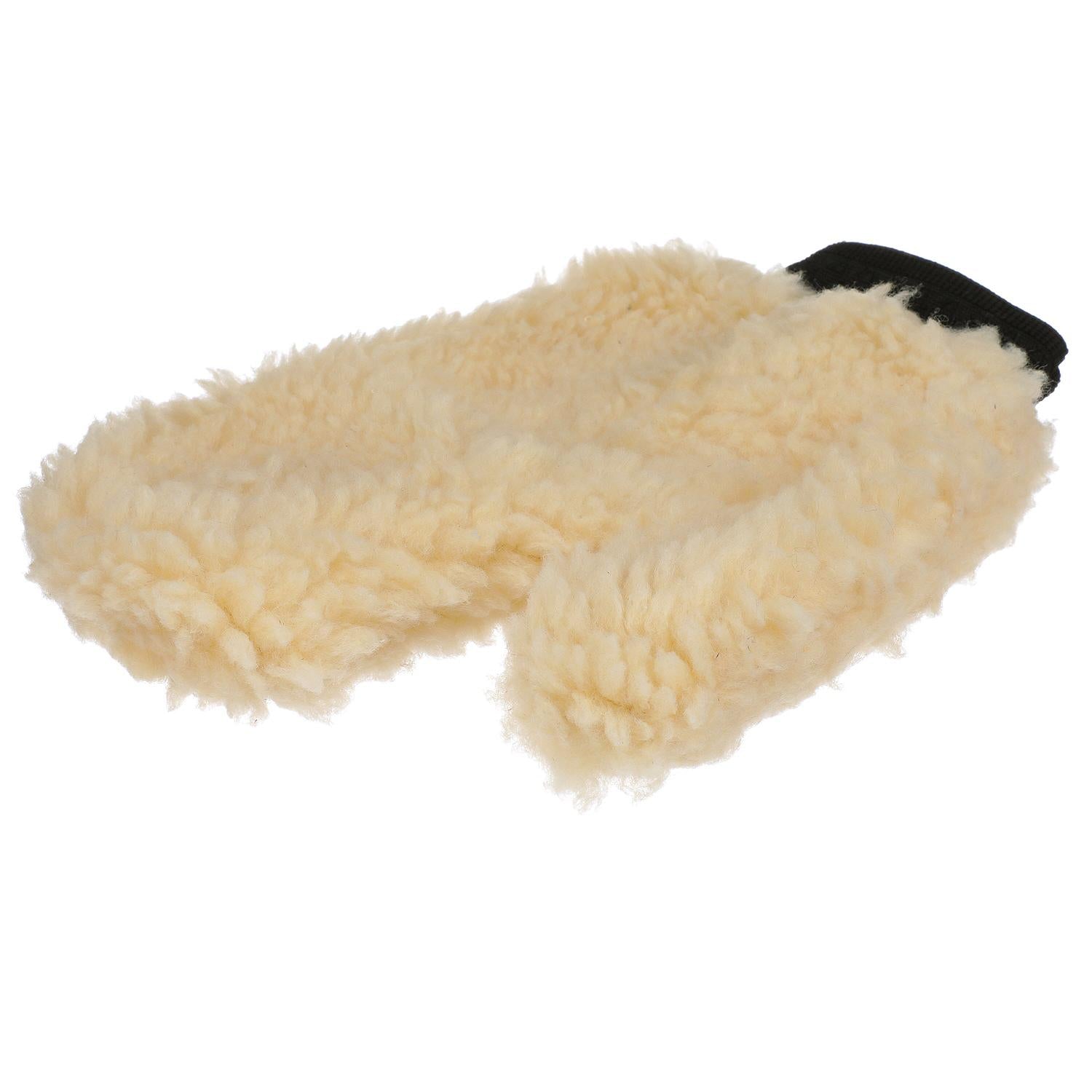 Wash Mitt