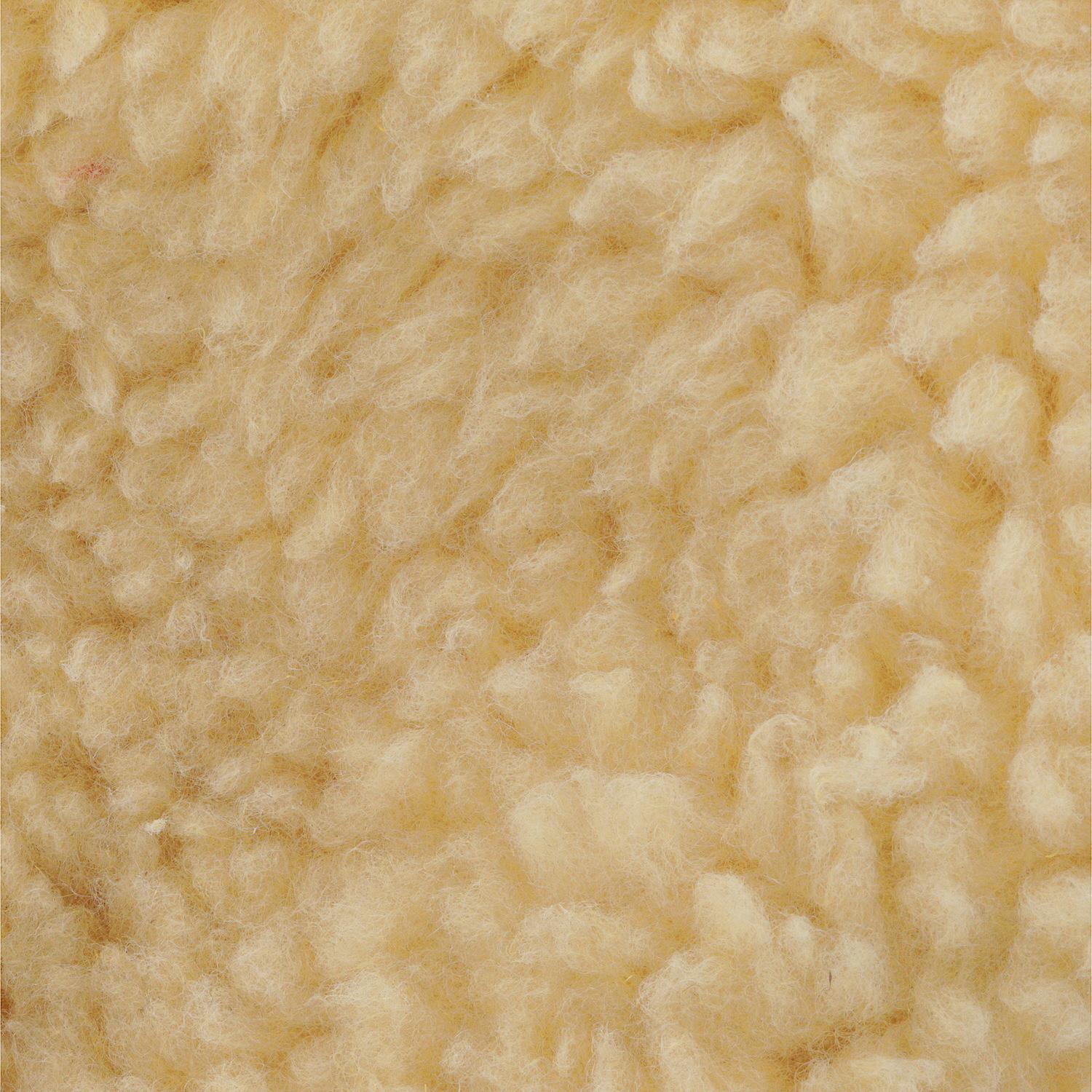 Wash Mitt