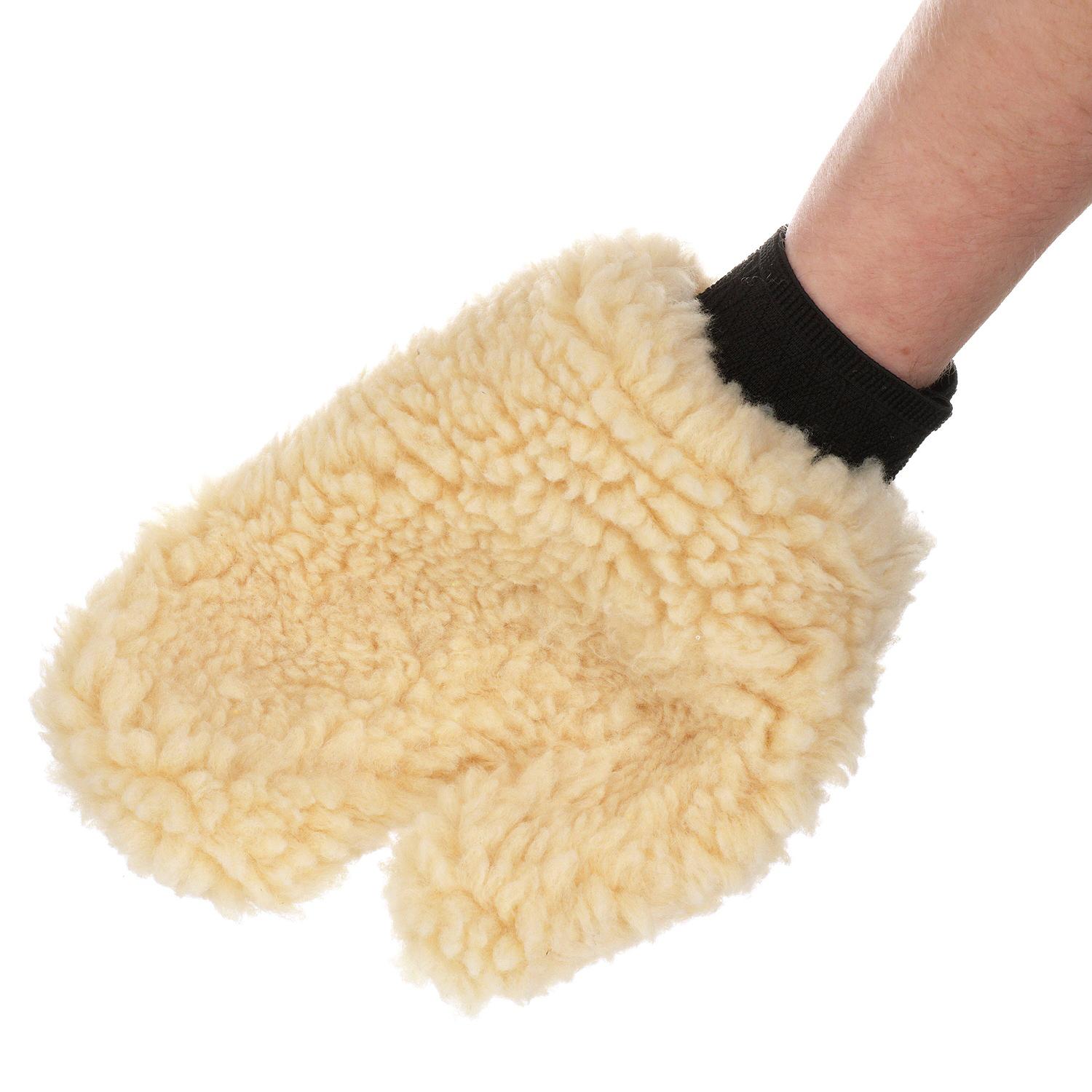 Wash Mitt