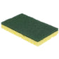 2-in-1 Scrubber Sponge